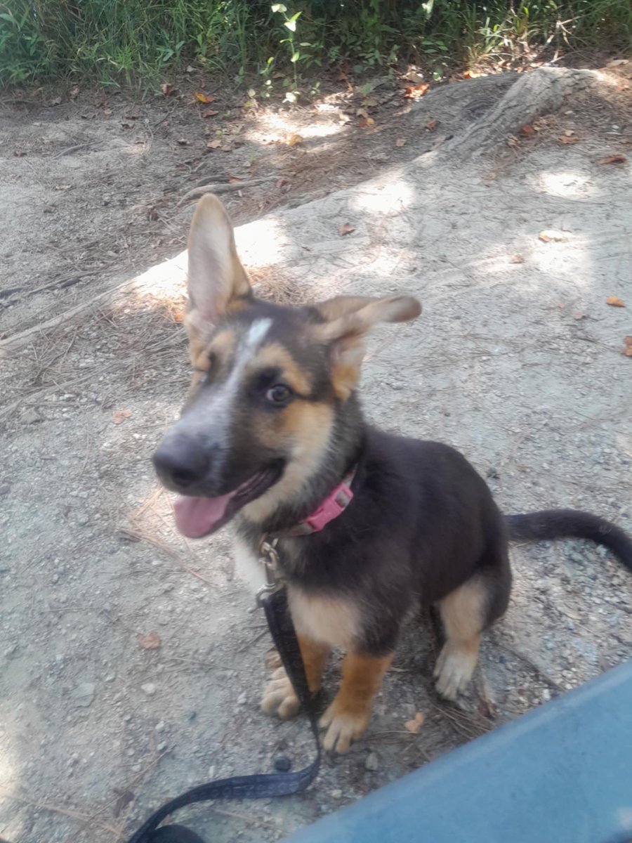 Bailey