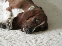 Rusty
