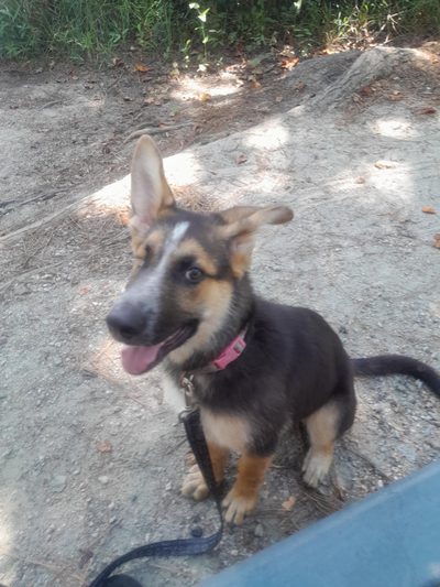 Juno